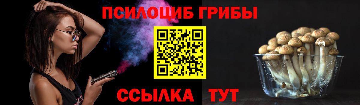 Галлюциногенные грибы Psilocybine cubensis  Галлюциногенные грибы ЛСД  Вход с VPN  Саратов 